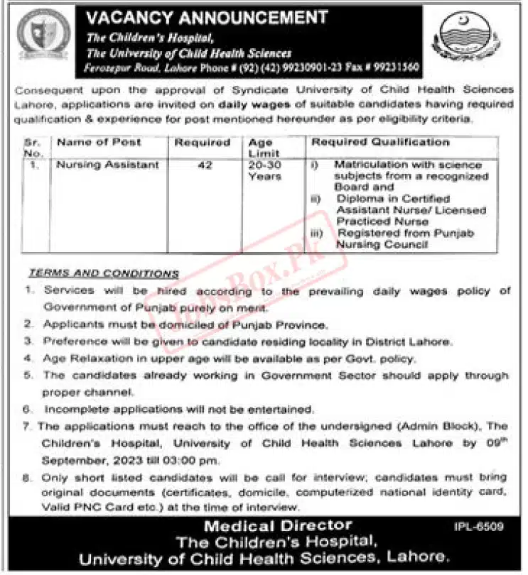 University of Child Health Sciences Lahore Jobs 2023